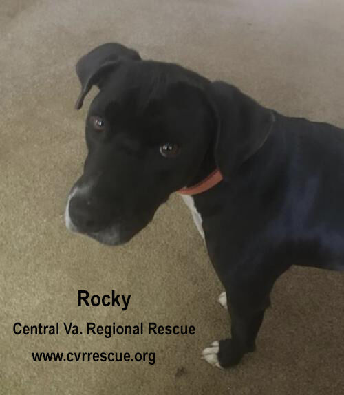 Rocky